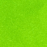 Pedido grupal personalizado de pantalones de cintura alta (B111)