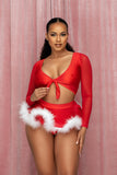 Red Mesh Long Sleeve Tie Up Top