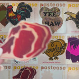 Steak Nipple Pasties – Funny Food-Inspired Adhesive Pasties | Waterproof & Latex-Free