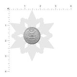 Silver Glitter Snowflake Nipple Pasties – Waterproof Winter Festival Adhesive Covers